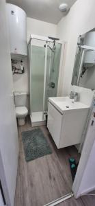 Appartements Appartement cozy 30m2, au coeur de Fougeres : photos des chambres