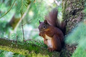 Mobil-home Beau Rivage