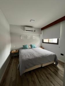 Espectacular departamento en el centro 301