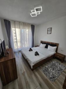 Coresi Mall Luxury Apartment