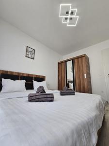 Coresi Mall Luxury Apartment