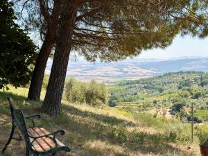 Nuovissimo Loft panoramico con giardino a Montalcino