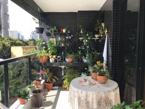 Apartment for COP30