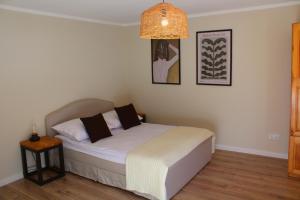 Leśne Szlaki AP Apartments