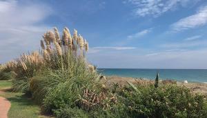 Three Bedroom Townhouse 100 meters from the Beach!