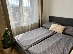 Apartment Near Red Bull Ring
