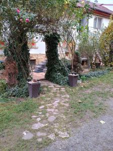 Central decent cozy apartament Cluj-Napoca