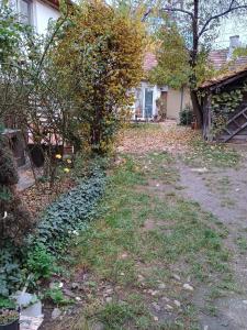 Central decent cozy apartament Cluj-Napoca