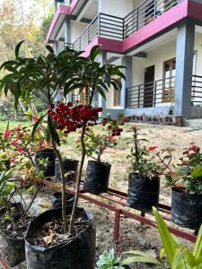 The Grand Kalimpong