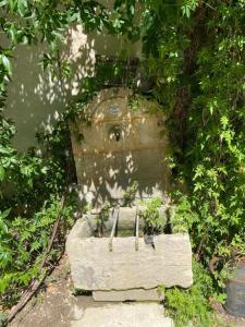 Appartements La Maison perchee - Mas de Rousseau : photos des chambres