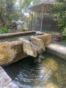 Appartements La Maison perchee - Mas de Rousseau : photos des chambres