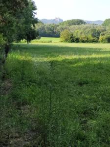 Appartements La Maison perchee - Mas de Rousseau : photos des chambres