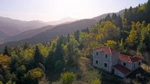 Secret Mountain Cabin "Θεοδόξαρο" - Plátanos