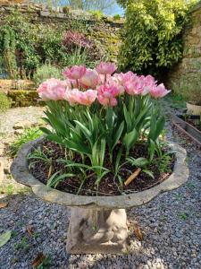 B&B / Chambres d'hotes Le Banellou : photos des chambres