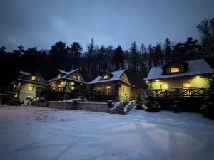 Leśne Zacisze - نوف مستو ناد متوجي