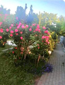 Summer House Gdansk-Sobieszewo