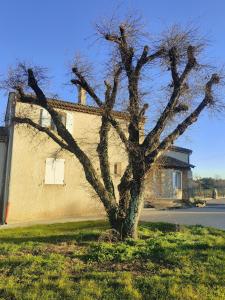 Villa Olivia, Sud Ardèche