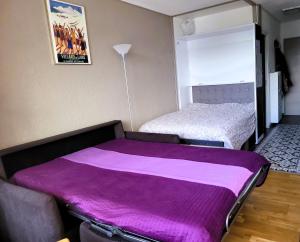 Appartements STUDIO plein sud 