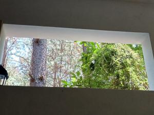 New house in the forest