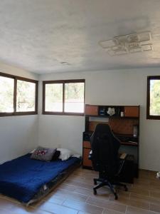 New house in the forest