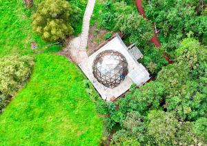 Finca San Pedro