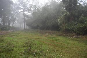 Green Heaven Kuruva Wayanad