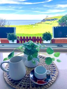 La casa del navegante