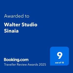 Walter Studio Sinaia with Balcony and Private Parking