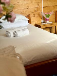 Twin Room room in Căsuțele dintre vii