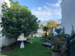 Auberges de jeunesse Maison Maje : photos des chambres