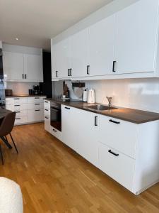 Moderne Leilighet i Lofoten