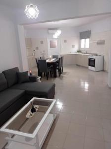 ΕΛΕΝΕΙΡ 1 Μεγάλο οροφοδιαμέρισμα στην Ερμούπολη