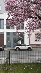 City Nest Offenbach