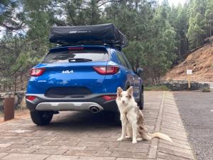 Rooftop tent - The best views of the island