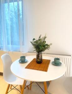 Otopeni Studio C2 4 Airport Therme