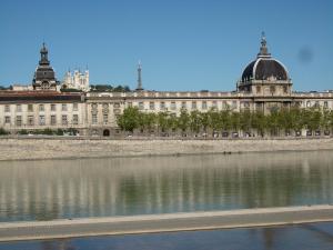 Appartements Appartement Lyon Villeurbanne - Enjoy in Lyon : photos des chambres