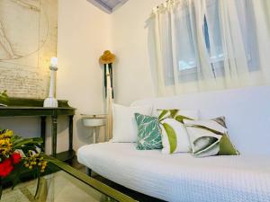 Mimoza Collection suites