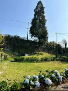 Ivy Cottage Kodaikanal