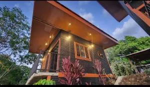 Fruta mango # 2 - Playa Guacalillo