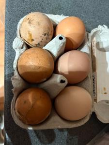 Quarry Barton Escape