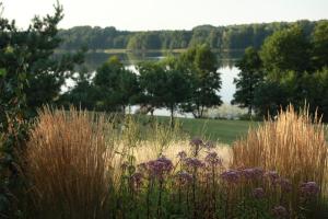 Ežero Sapnas - Dream of the Lake