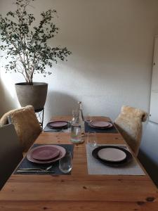 ESC Apartment Basel