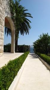 Apartments Dr. Vlasic