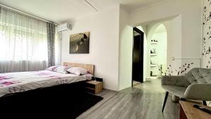 Central Grey Studio Hateg