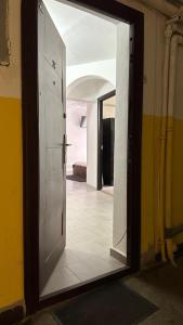 Central Grey Studio Hateg