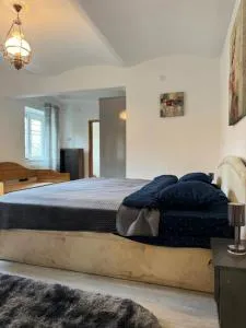 Center garden - 谢林伯尔