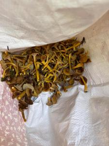 Appartements Le petit Beillard : photos des chambres