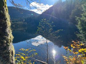 Appartements Le petit Beillard : photos des chambres