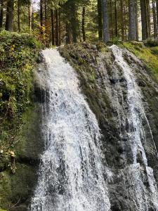 Appartements Le petit Beillard : photos des chambres