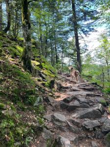 Appartements Le petit Beillard : photos des chambres